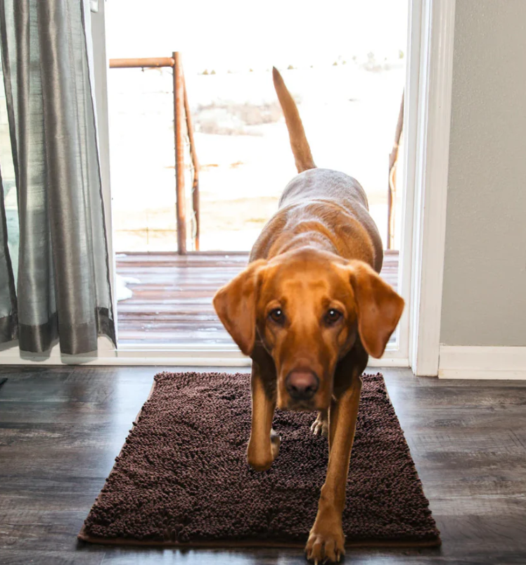 "Tapis microfibre ultra-absorbant pour chien, lavable, antidérapant, gris, idéal pour maison propre et sèche."