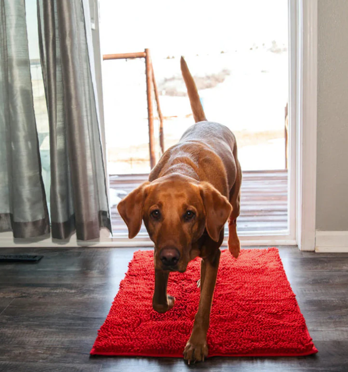 "Tapis microfibre ultra-absorbant pour chien, lavable, antidérapant, gris, idéal pour maison propre et sèche."