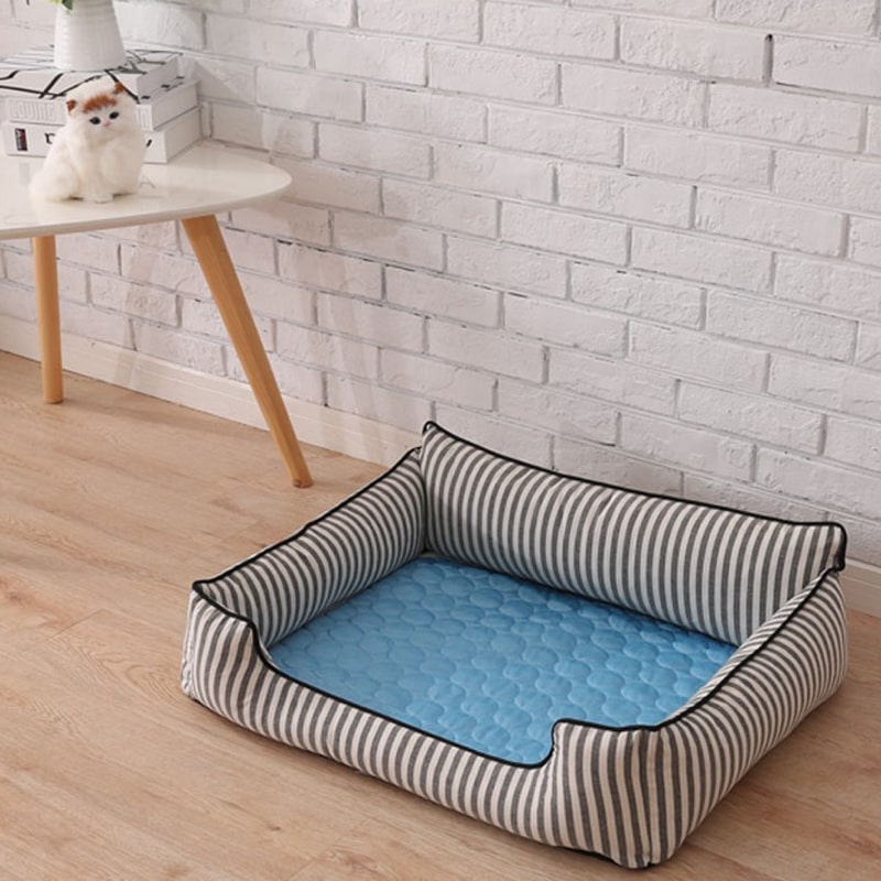 Tapis rafraîchissant pour chat, été, thermorégulateur. Confort optimal, chaleur absorbée.