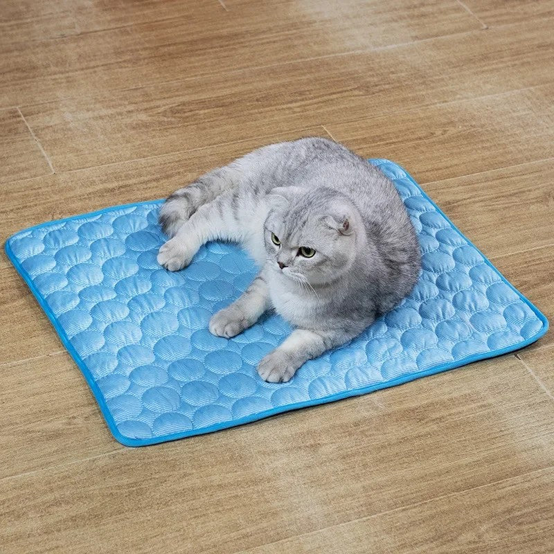 Tapis rafraîchissant pour chat, été, thermorégulateur. Confort optimal, chaleur absorbée.