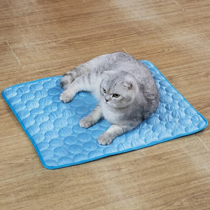 Tapis rafraîchissant pour chat, été, thermorégulateur. Confort optimal, chaleur absorbée.