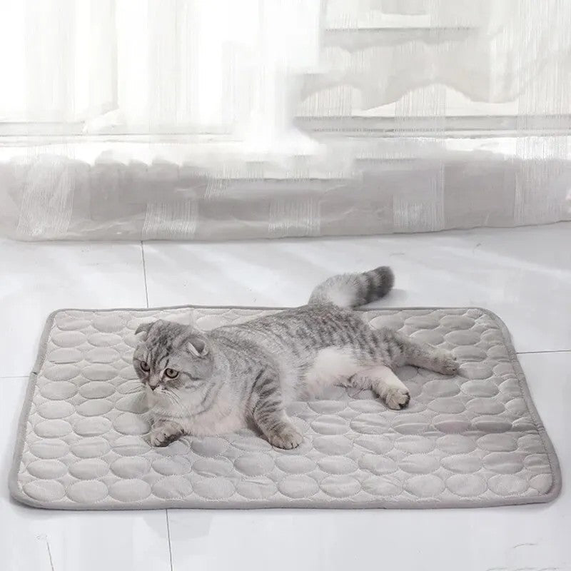 Tapis rafraîchissant pour chat, été, thermorégulateur. Confort optimal, chaleur absorbée.