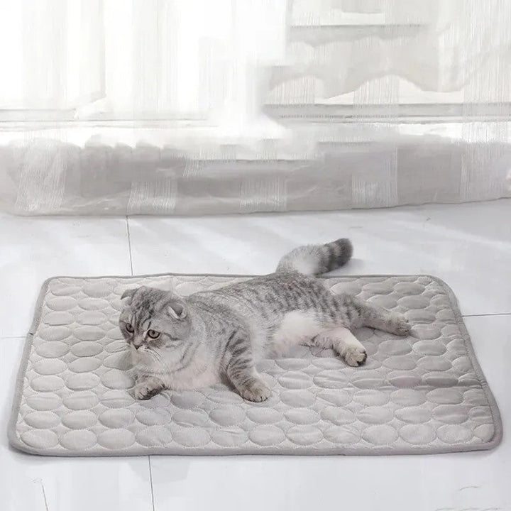 Tapis rafraîchissant pour chat, été, thermorégulateur. Confort optimal, chaleur absorbée.