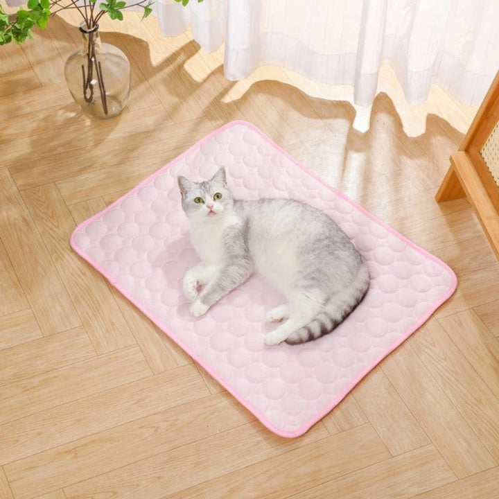 Tapis rafraîchissant pour chat, été, thermorégulateur. Confort optimal, chaleur absorbée.