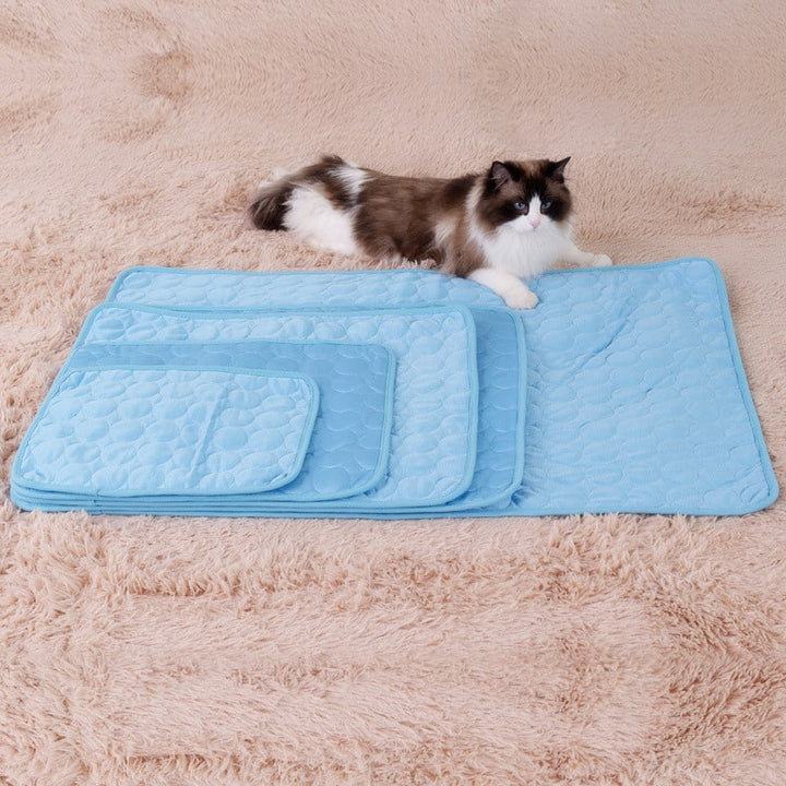 Tapis rafraîchissant pour chat, été, thermorégulateur. Confort optimal, chaleur absorbée.