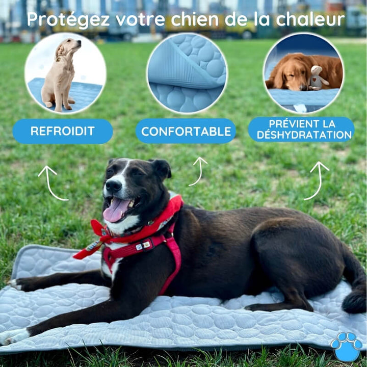 Tapis rafraîchissant pour chien, coussin animal confortable et frais. Refroidissement instantané, idéal été.