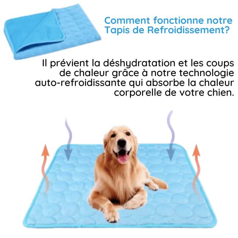 Tapis rafraîchissant pour chien, coussin animal confortable et frais. Refroidissement instantané, idéal été.