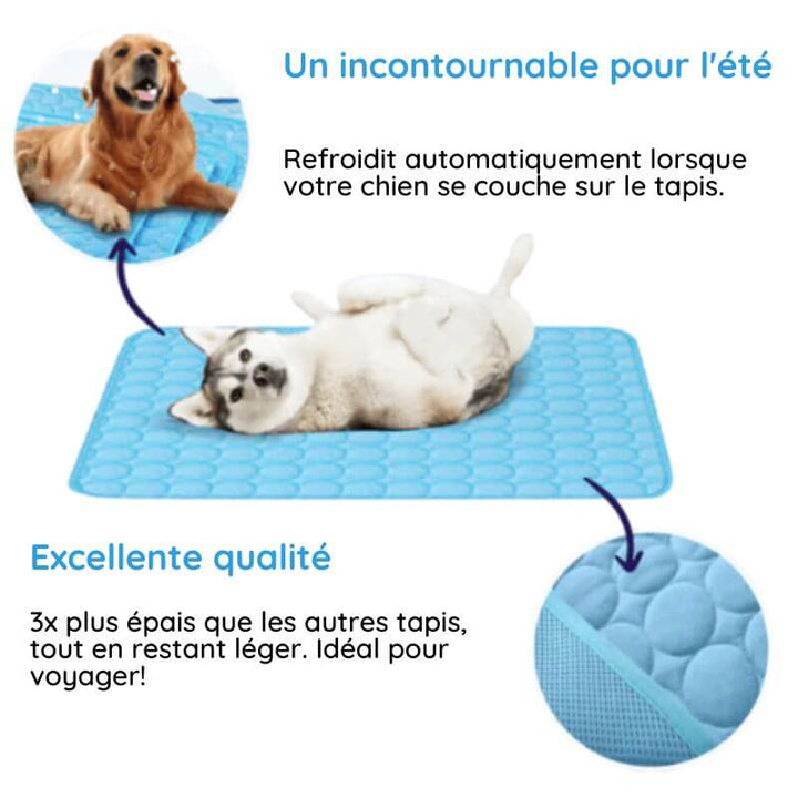Tapis rafraîchissant pour chien, coussin animal confortable et frais. Refroidissement instantané, idéal été.