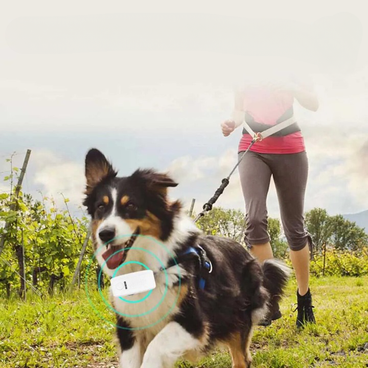 Traceur GPS pour chien.  Suivi précis, localisation en temps réel. Sécurité et liberté pour votre animal.
