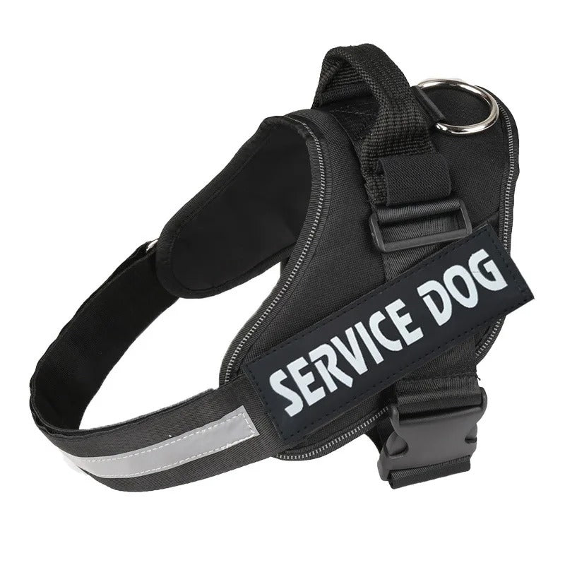 Harnais Chien Anti-Traction Personnalisé - Sécurité & Confort