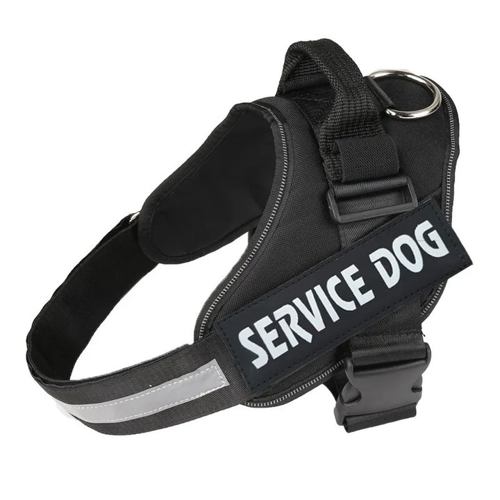 Harnais Chien Anti-Traction Personnalisé - Sécurité & Confort
