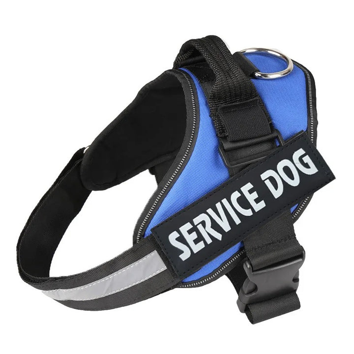 Harnais Chien Anti-Traction Personnalisé - Sécurité & Confort