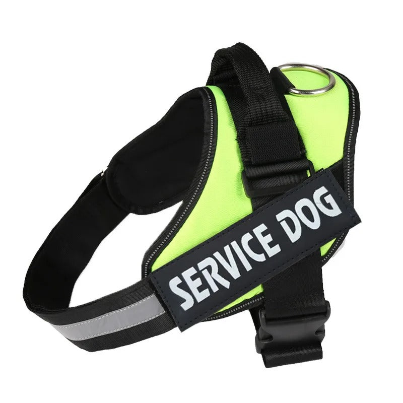 Harnais Chien Anti-Traction Personnalisé - Sécurité & Confort