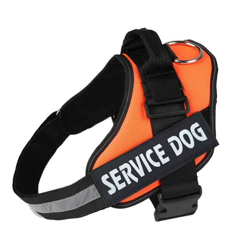 Harnais Chien Anti-Traction Personnalisé - Sécurité & Confort