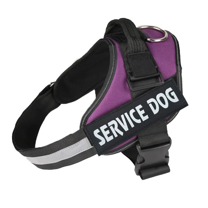 Harnais Chien Anti-Traction Personnalisé - Sécurité & Confort