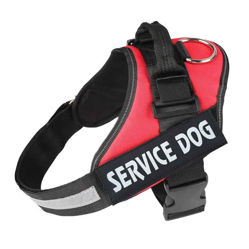 Harnais Chien Anti-Traction Personnalisé - Sécurité & Confort
