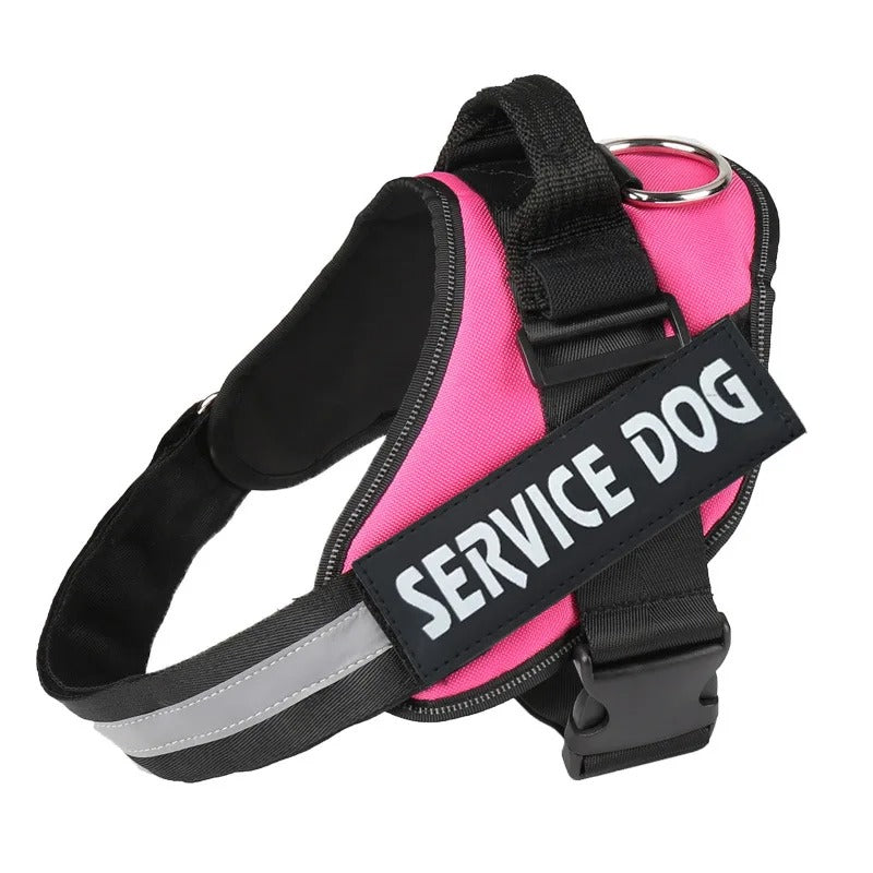 Harnais Chien Anti-Traction Personnalisé - Sécurité & Confort