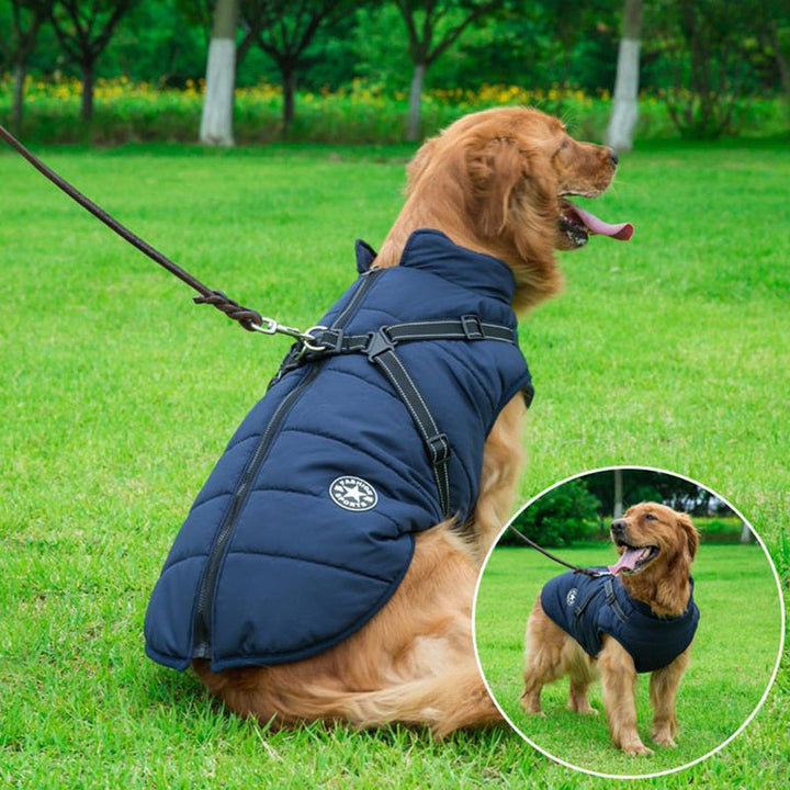 Veste d'hiver imperméable pour chien, idéale pour les promenades froides et humides. Protection et chaleur.