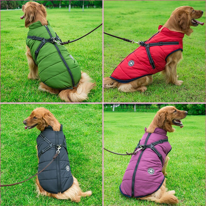 Chien en veste d'hiver pour promenade, protection contre le froid et l'eau. Idéal pour activités extérieures.