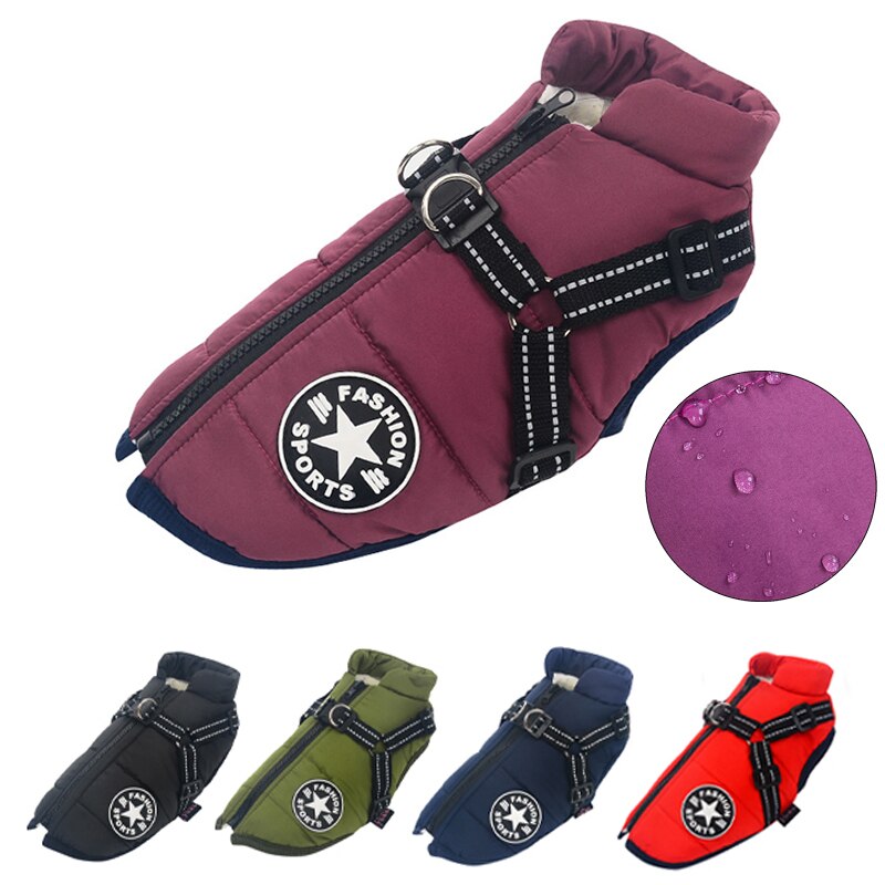 Accessoire chien : veste d'hiver étanche pour garder votre animal au sec et au chaud lors des sorties.