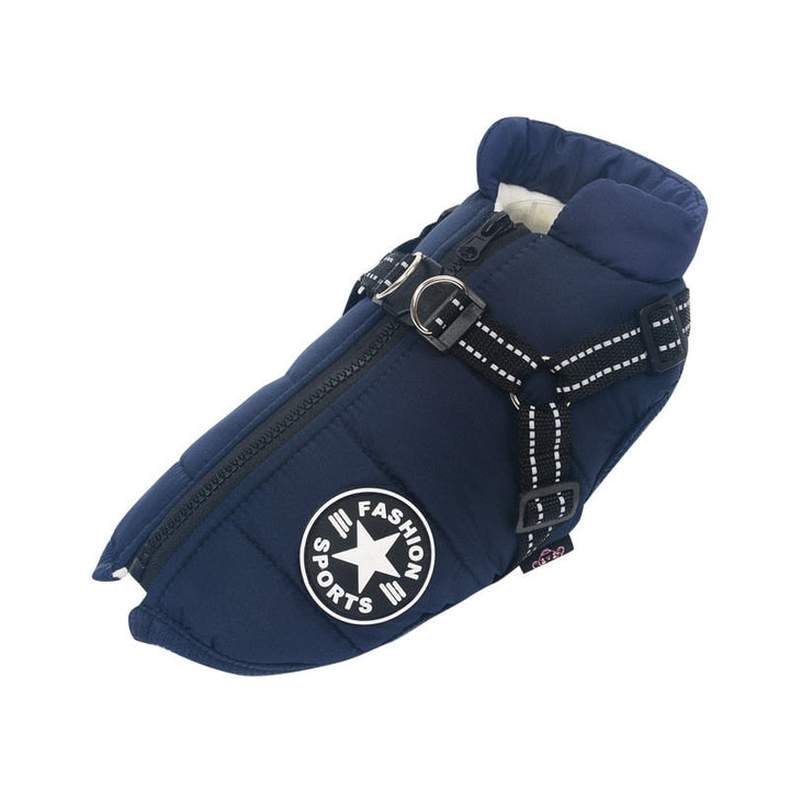 Chien actif portant une veste imperméable en hiver, courant dans la neige. Protection garantie.
